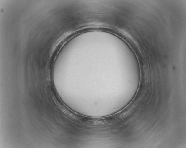 X0000069831318200606091436