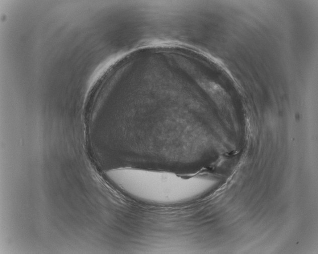 X0000069831319200606091436