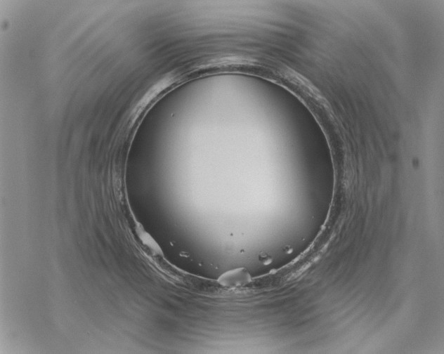 X0000069831321200606091436