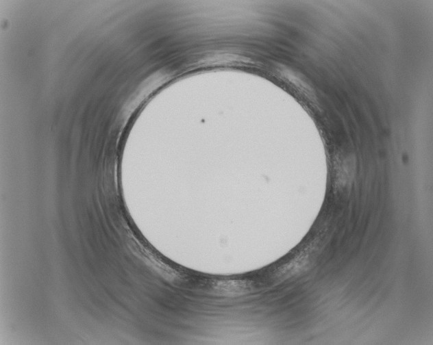 X0000069831322200606091436