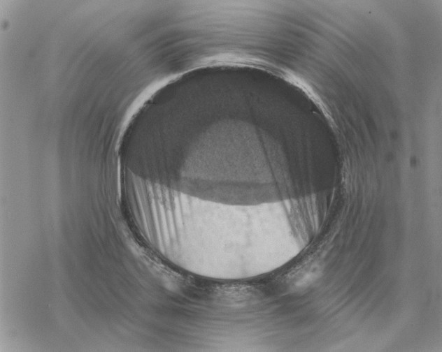 X0000069831323200606091436