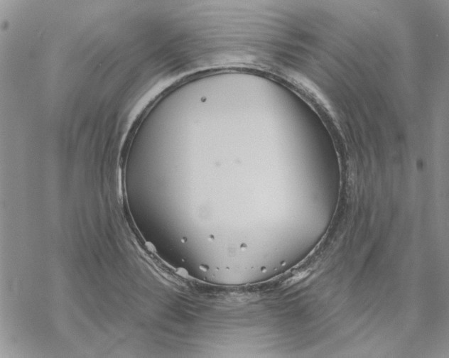 X0000069831324200606091436