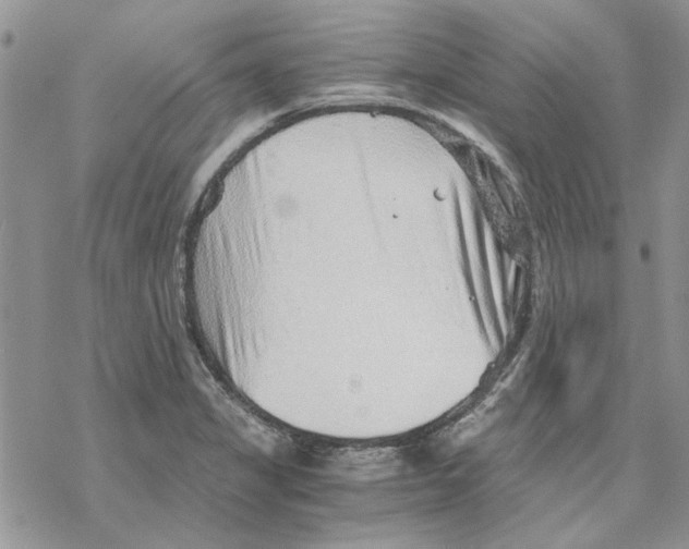 X0000069831325200606091436