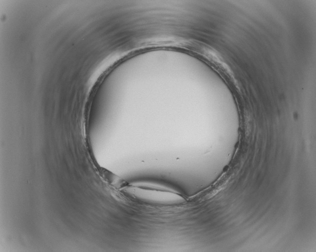 X0000069831328200606091436