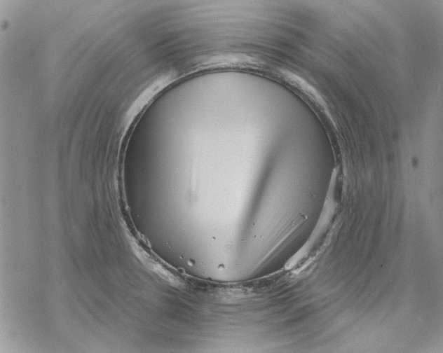 X0000069831330200606091436