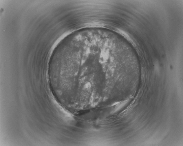 X0000069831331200606091436