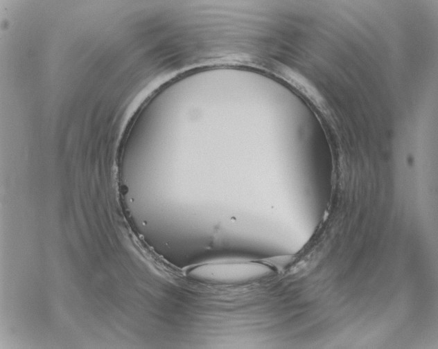 X0000069831332200606091436