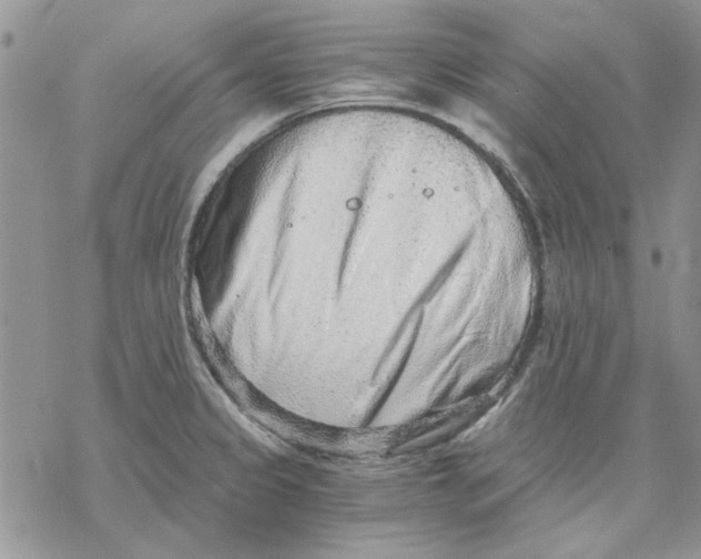 X0000069831333200606091436