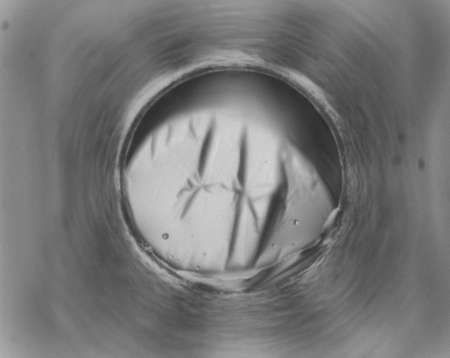 X0000069831335200606091436