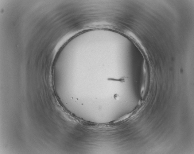 X0000069831336200606091436