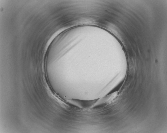 X0000069831339200606091436