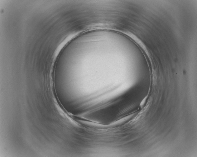 X0000069831341200606091436