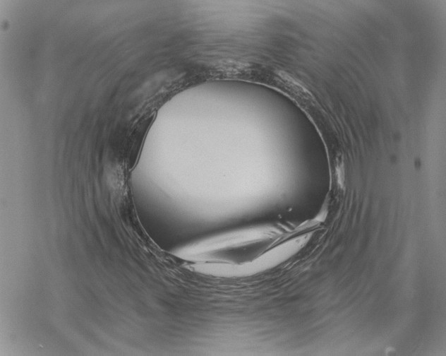 X0000069831347200606091435