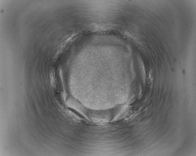 X0000069831348200606091435