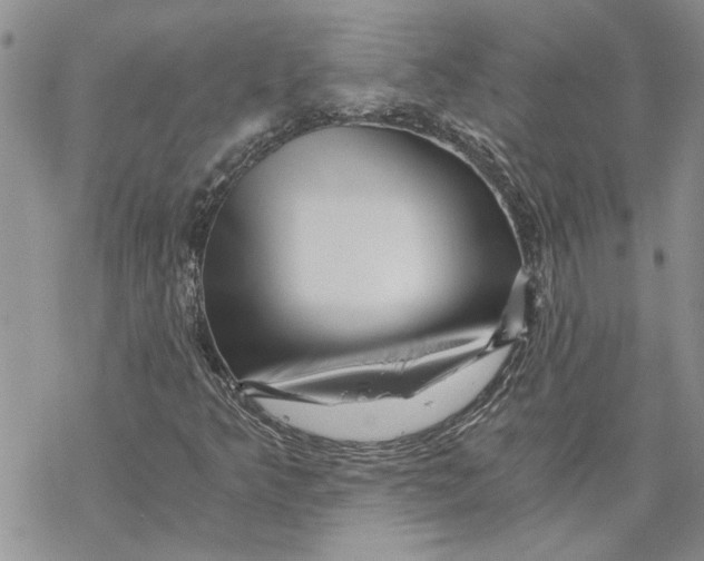 X0000069831349200606091435