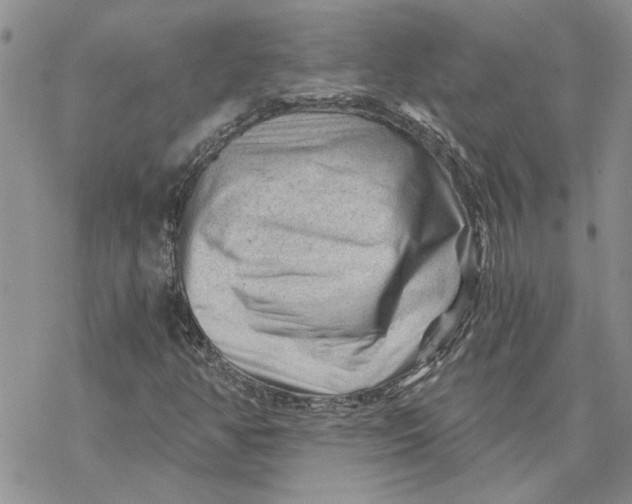 X0000069831350200606091435