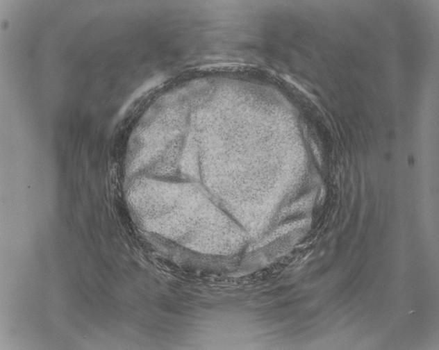 X0000069831351200606091435