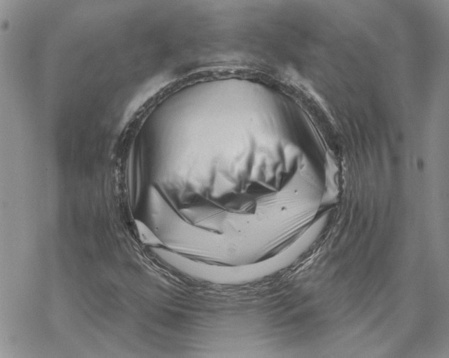 X0000069831352200606091435