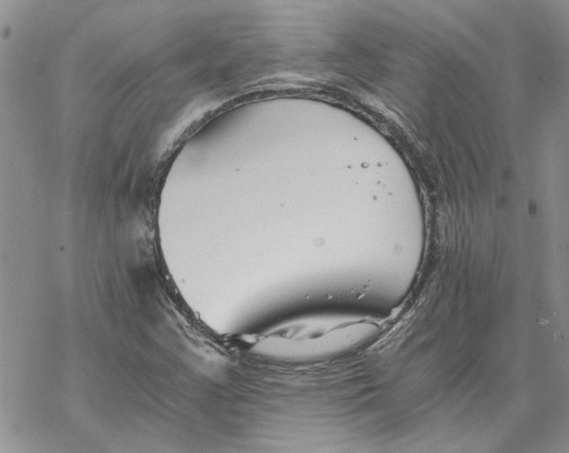 X0000069831355200606091435