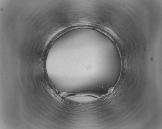 X0000069831356200606091435