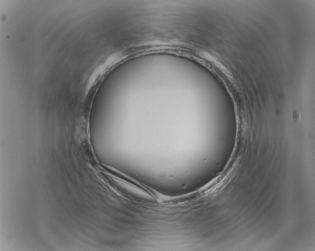 X0000069831357200606091435