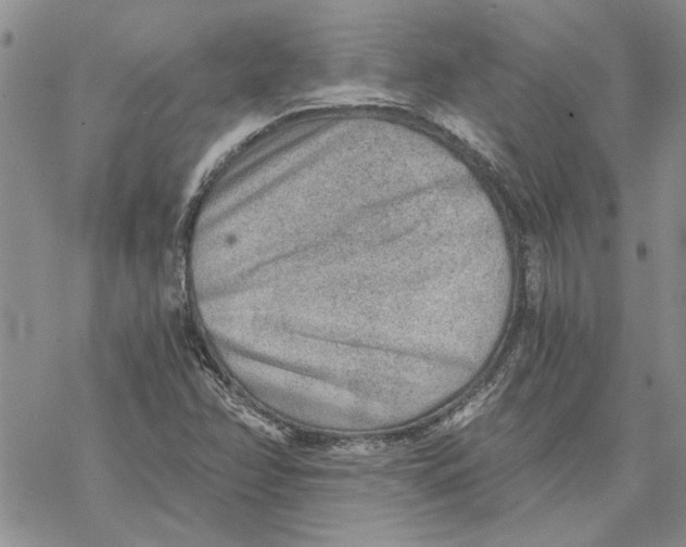 X0000069831358200606091435