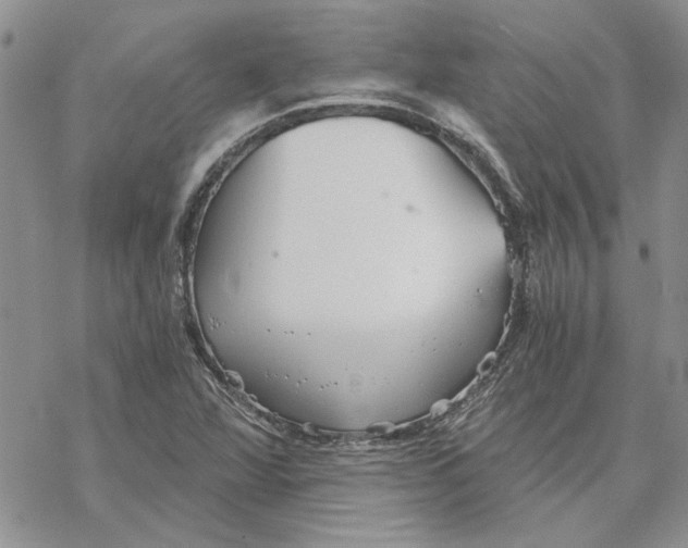 X0000069831360200606091435