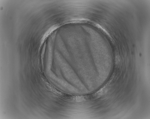 X0000069831362200606091435