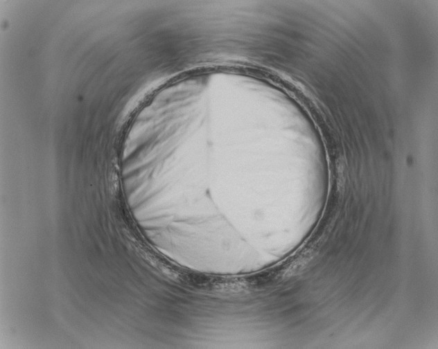 X0000069831363200606091435