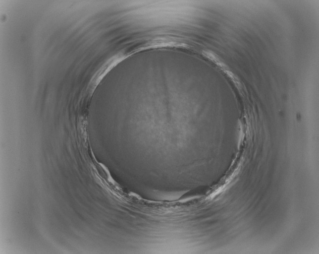 X0000069831369200606091435