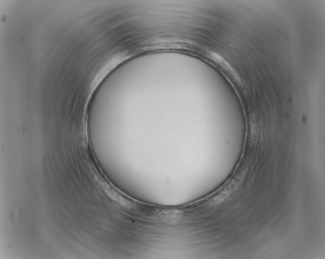 X0000069831370200606091435