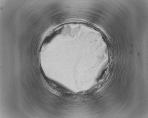 X0000069831371200606091435