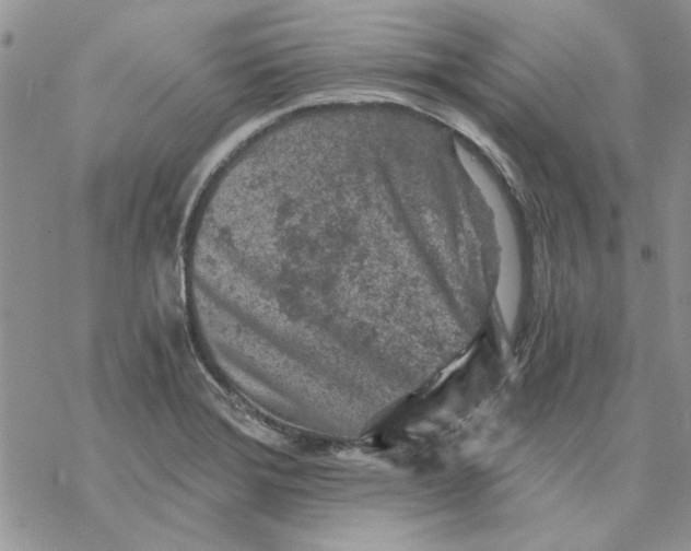 X0000069831372200606091435