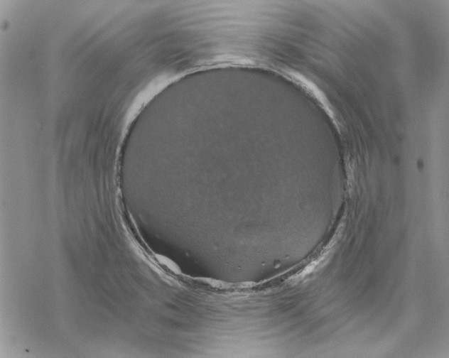 X0000069831373200606091435