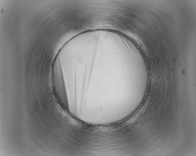 X0000069831374200606091435