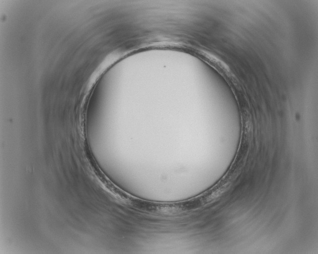 X0000069831375200606091435