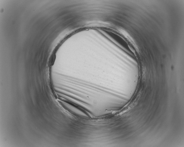 X0000069831376200606091435