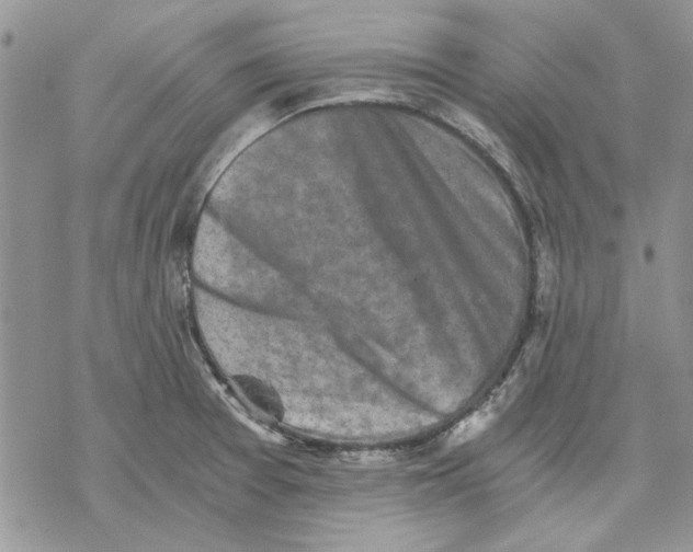 X0000069831377200606091435