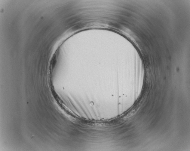 X0000069831379200606091435