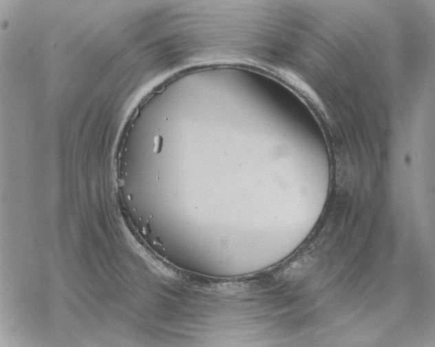 X0000069831380200606091435