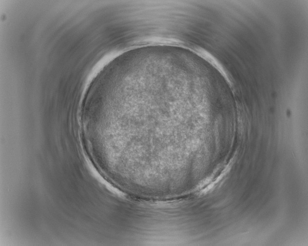 X0000069831381200606091435