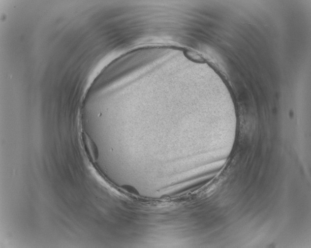 X0000069831382200606091435