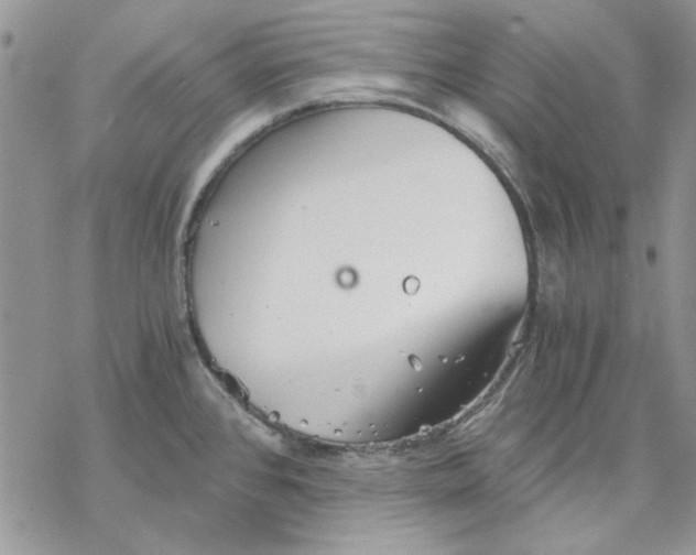 X0000069831384200606091435