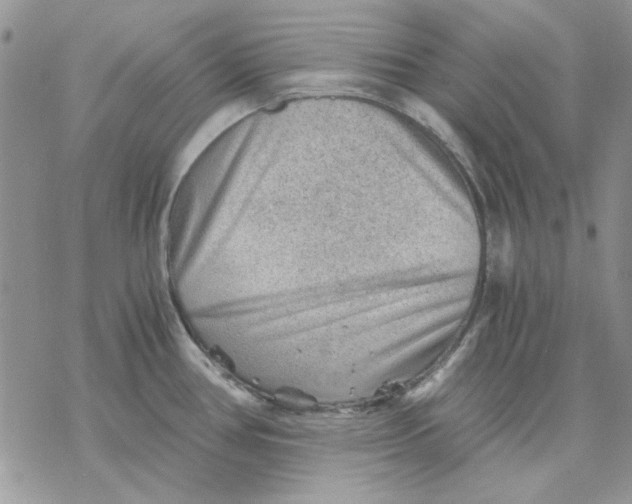 X0000069831386200606091435