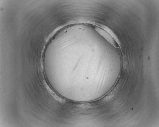 X0000069831388200606091435