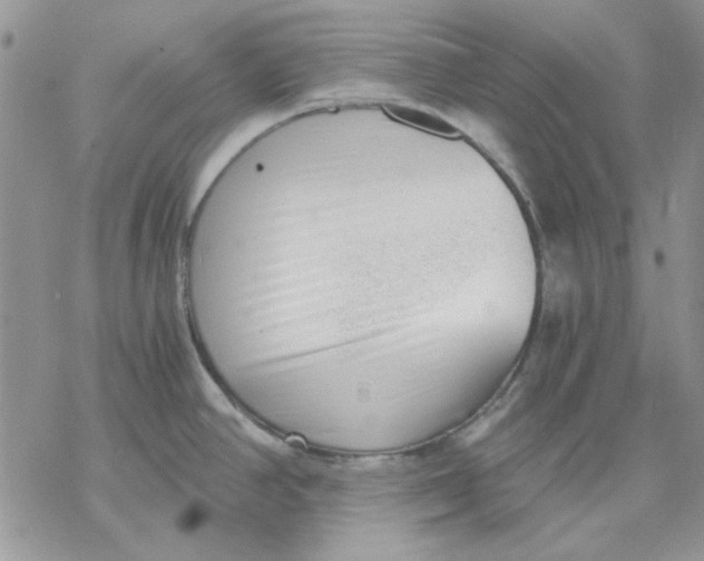 X0000069831390200606091435