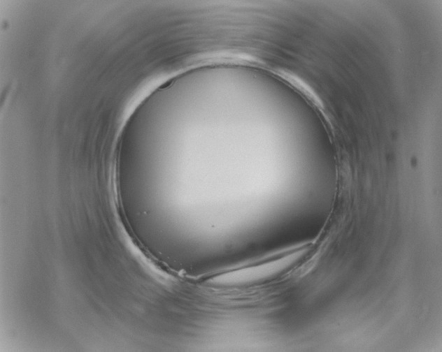 X0000069831391200606091435