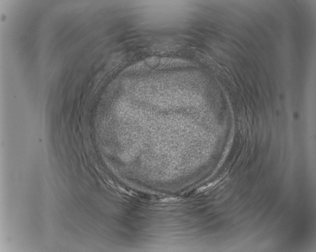 X0000069831393200606091434