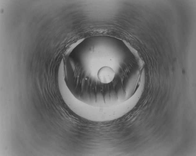 X0000069831394200606091434