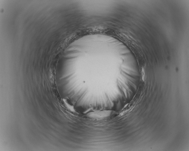 X0000069831395200606091434